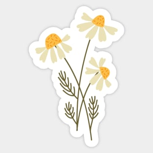 Chamomile flowers Sticker